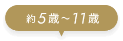 約5歳〜11歳